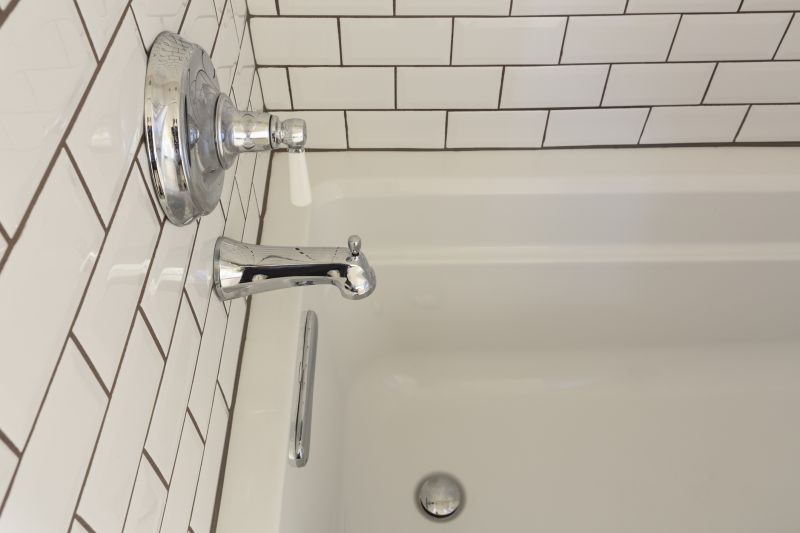 Senior Bathroom Remodels detail